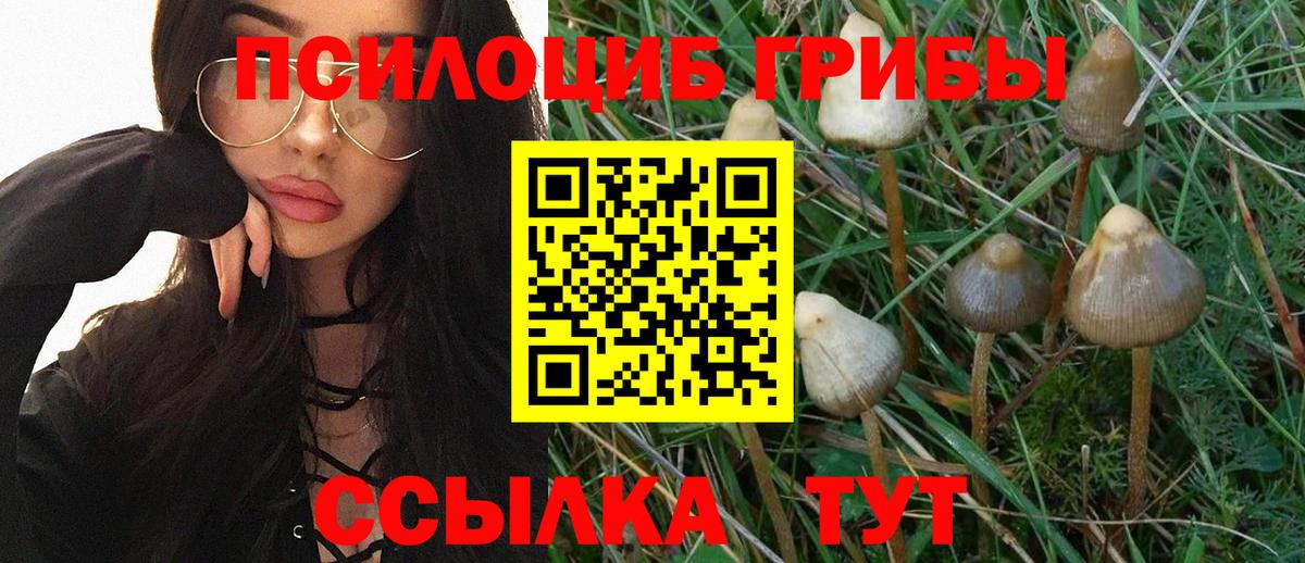 Рубцовск  Псилоцибиновые грибы ЛСД  Вход с VPN 