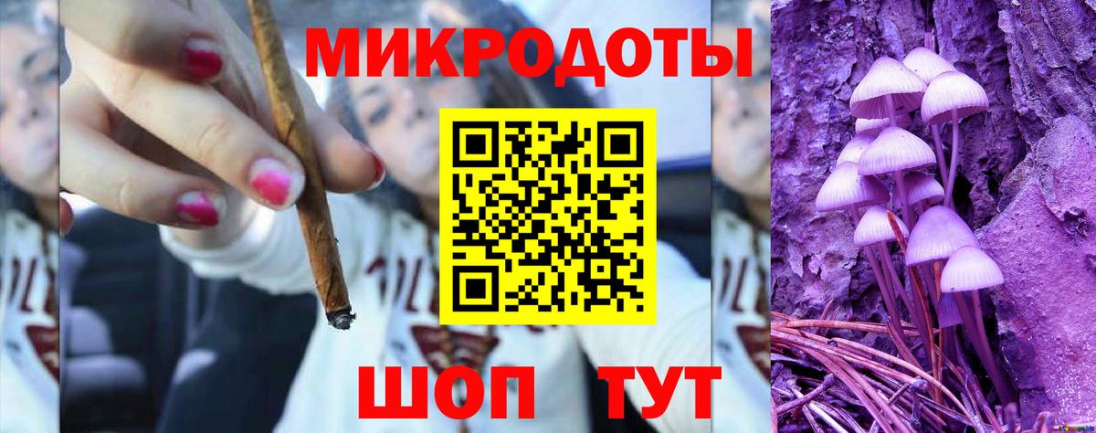 Галлюциногенные грибы Psilocybine cubensis Рубцовск